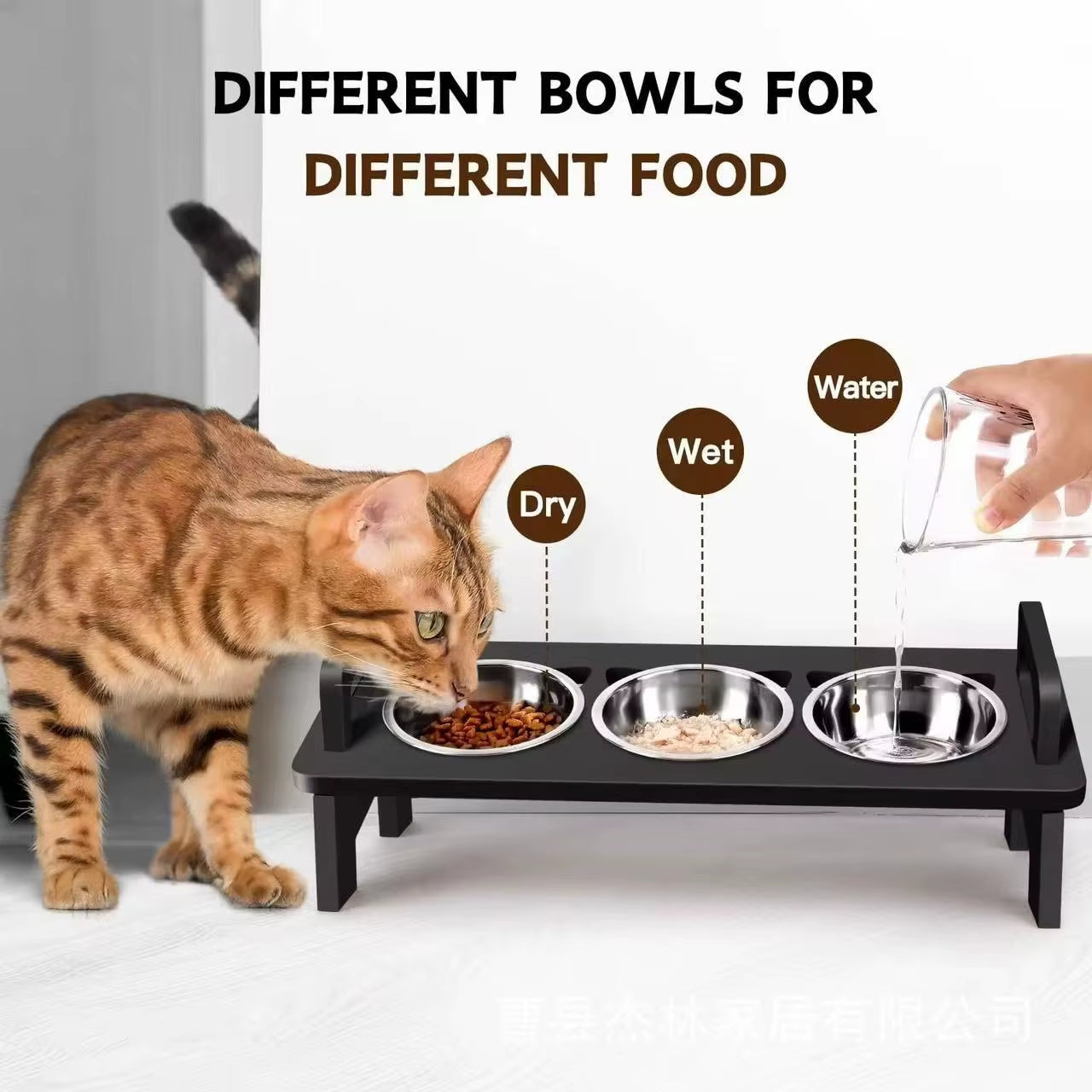 Eco-Friendly Stainless Steel Pet Food Bowl Rack Vertical Slant Neck Guard with Increased Dining Table for Cats and Dogs