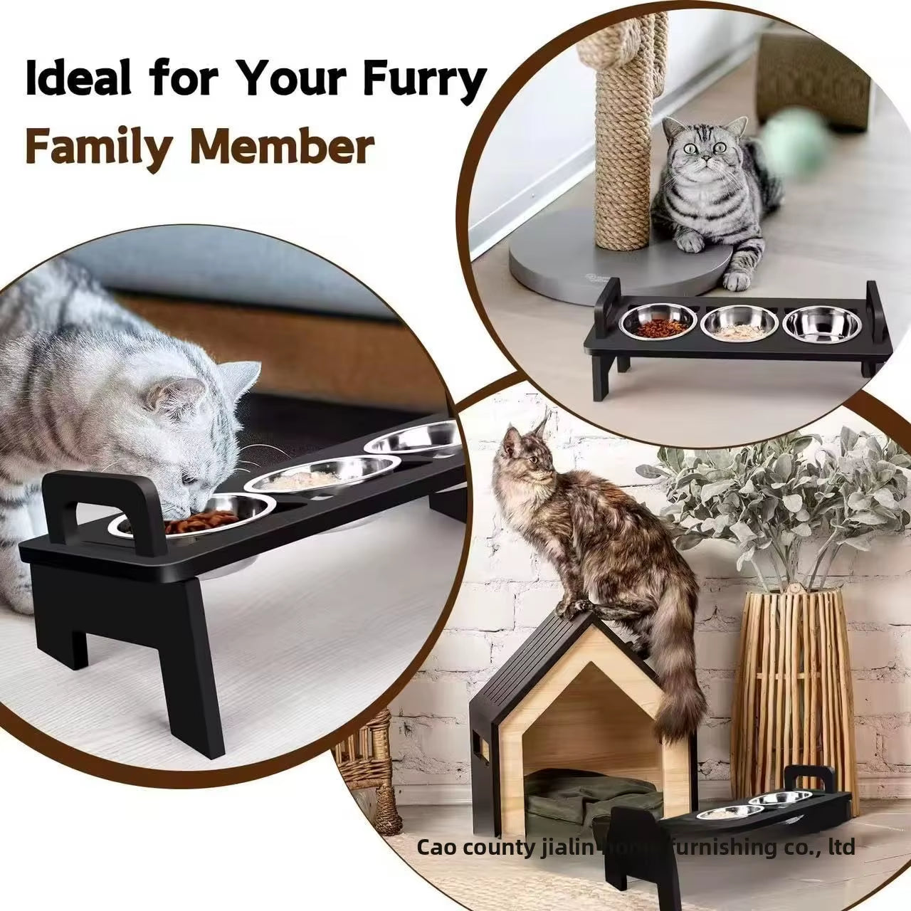 Eco-Friendly Stainless Steel Pet Food Bowl Rack Vertical Slant Neck Guard with Increased Dining Table for Cats and Dogs