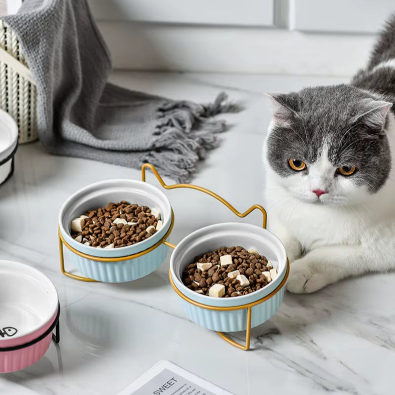 Single or Double Tilt Bowl Ceramic Bowl for Dog Cat Puppy Kitten Elevated Food Feeder Drinker Pet Water Bowl Pet Supplies