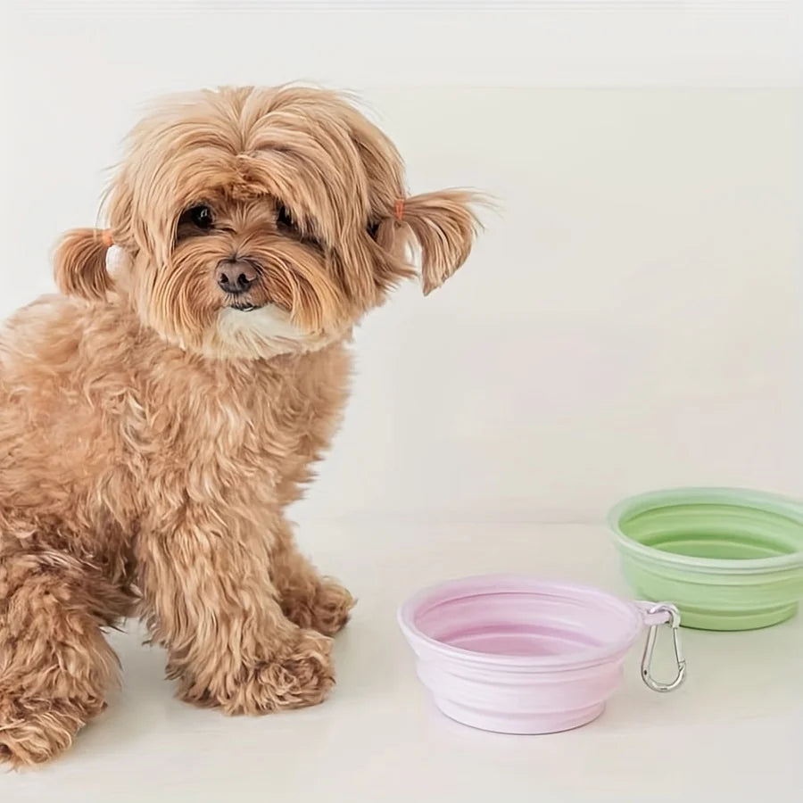 350ml Foldable Silicone Pet Bowl – Macaron Color Portable Dog & Cat Water Dish for Outdoor Travel