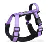 Adjustable No-Pull Dog Harness with Handle & Breathable Mesh Padding – Complete Pet Leash Set on Sale
