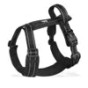 Adjustable No-Pull Dog Harness with Handle & Breathable Mesh Padding – Complete Pet Leash Set on Sale