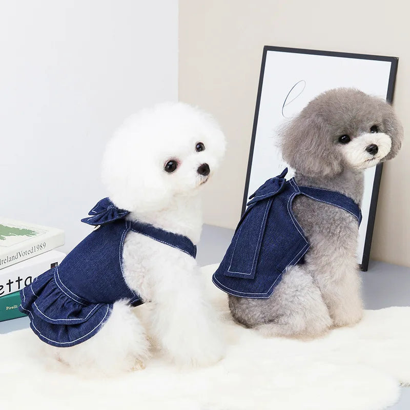 Designer Dog Dress with Harness – Fashion Denim Skirt T-Shirt & Leash Set for Small Pets