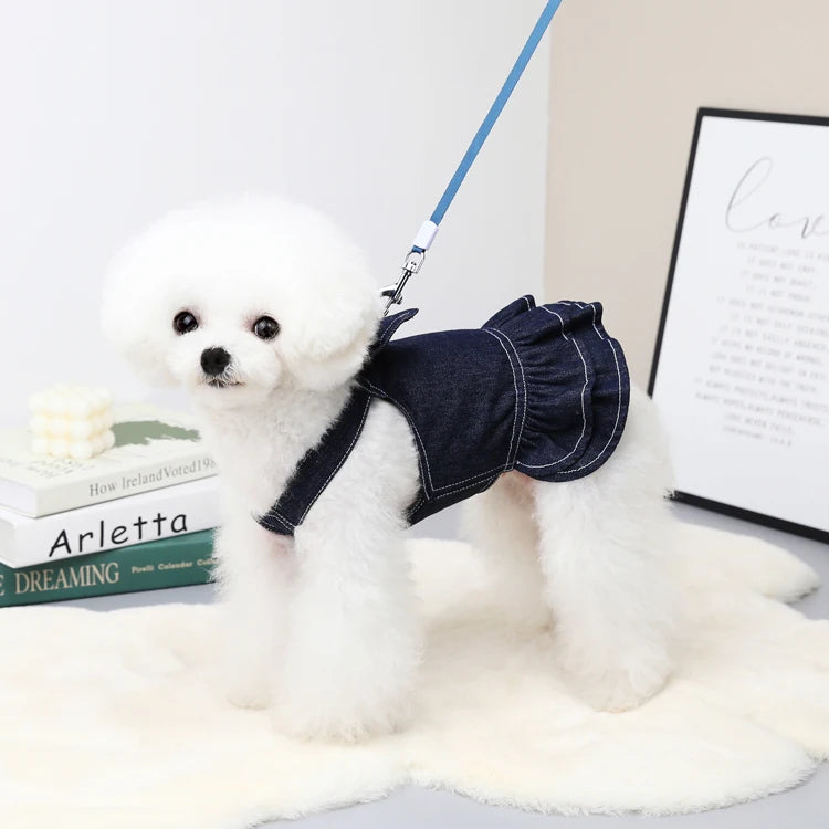 Designer Dog Dress with Harness – Fashion Denim Skirt T-Shirt & Leash Set for Small Pets