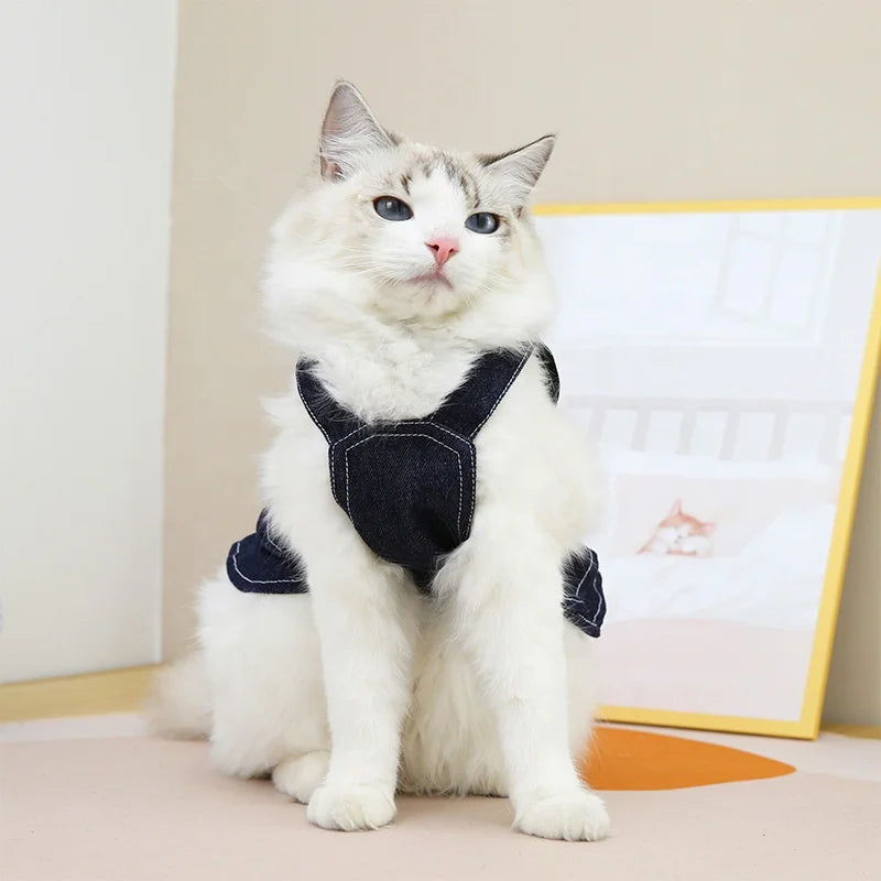 Designer Dog Dress with Harness – Fashion Denim Skirt T-Shirt & Leash Set for Small Pets