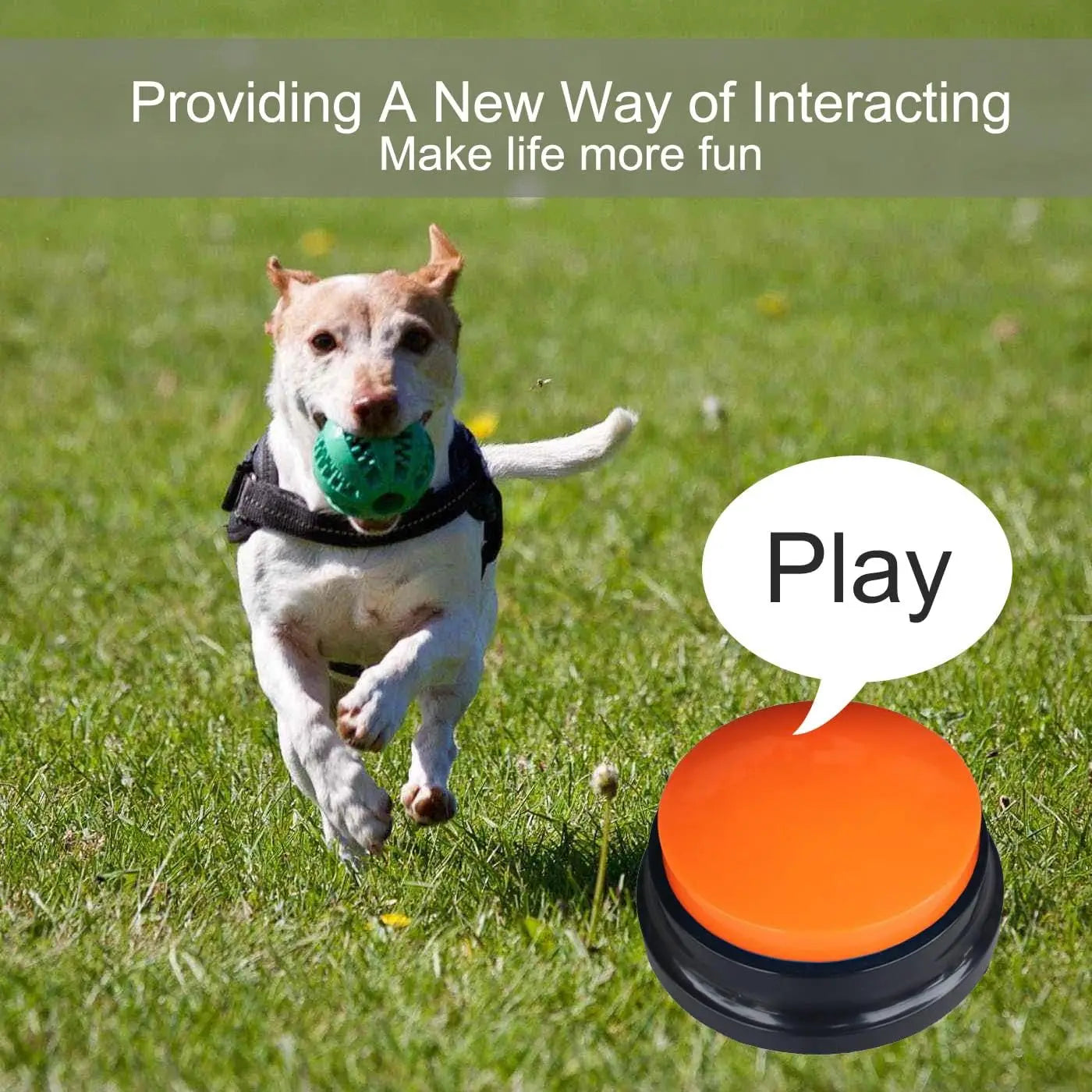 Dog Communication Buttons – 30-Second Record & Playback Pet Training Buzzers for Smart Learning