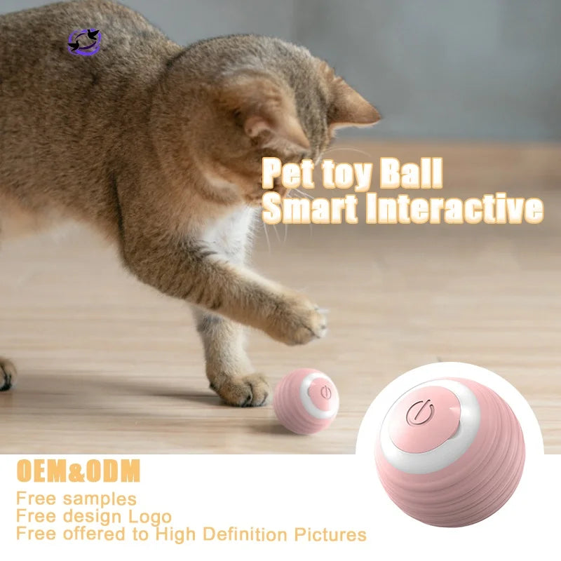 Adjustable Paw Print Pet Collar – Breakaway Nylon Design with Bell for Cats & Small Dogs