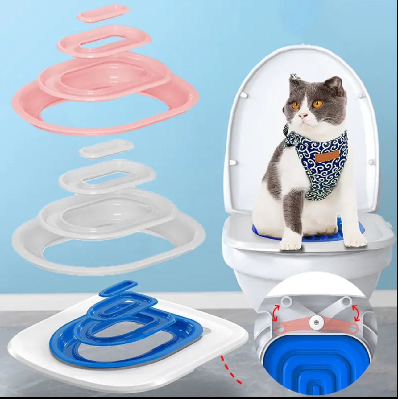 Potty Train for Cats