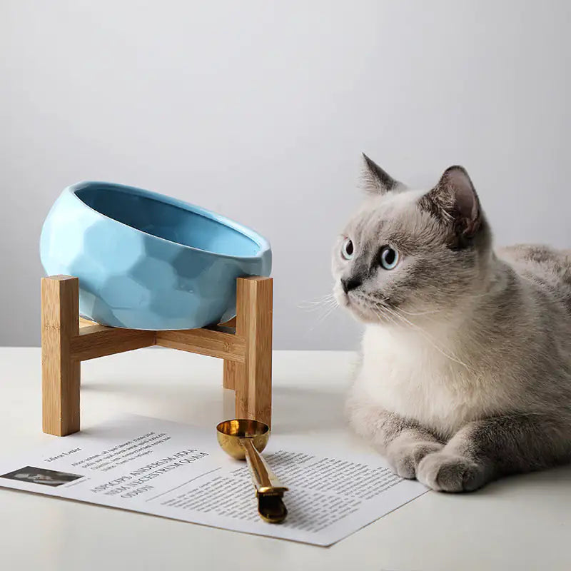 Cat Bowls & Fountains