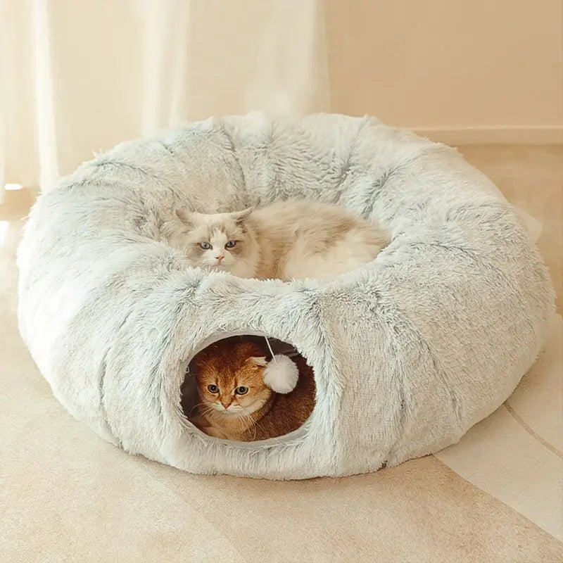 Beds, Cat Towers & Sleeping Nests