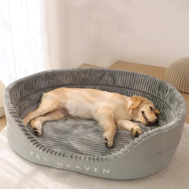 Dog Items and Essentials
