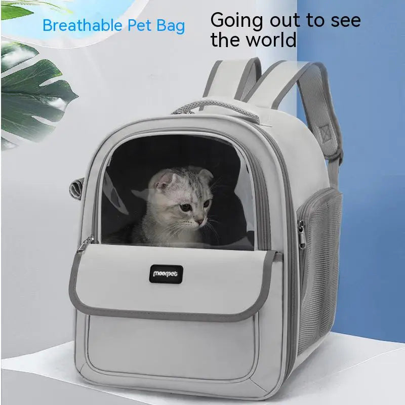 Cat Carrier & Bookbag