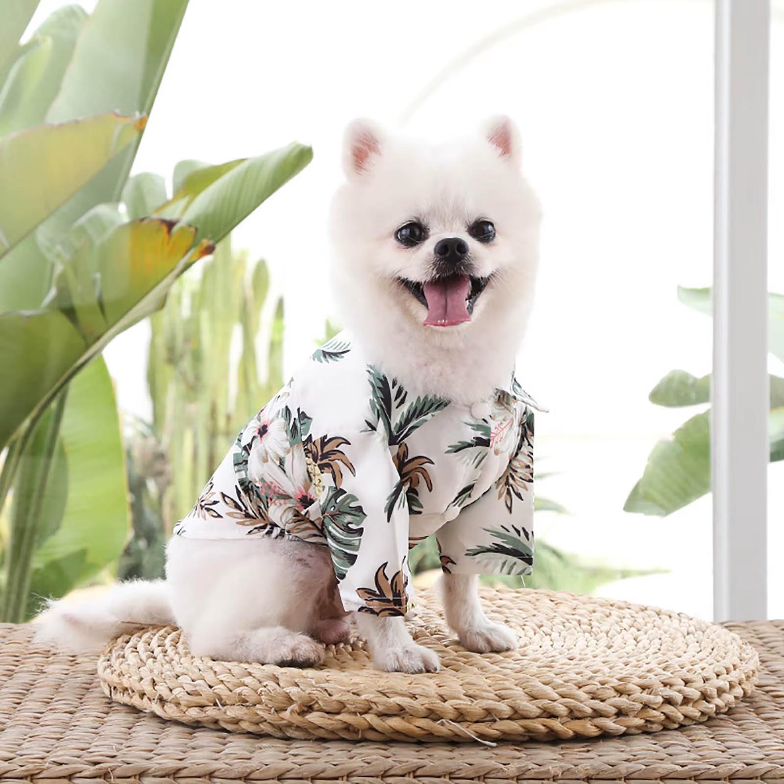 Summer items and Essentials
