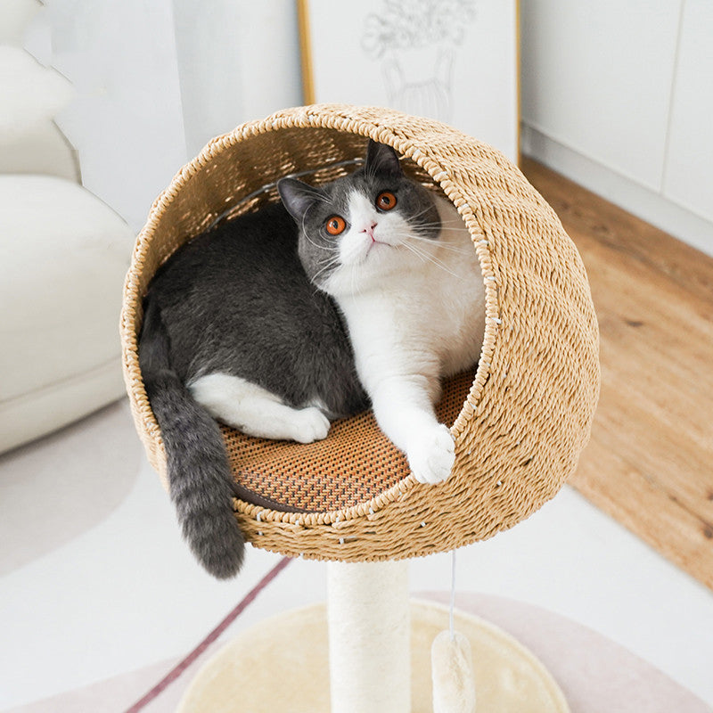 Rattan Woven Cat Climbing Rack Tree Nest