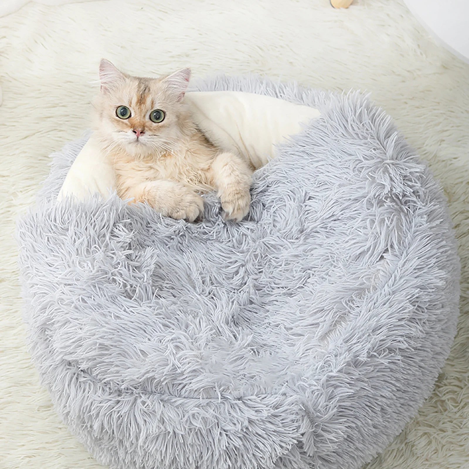 Calming Dog Beds & Cat Cave | Hooded, Washable, Anti-Slip Design for Pets