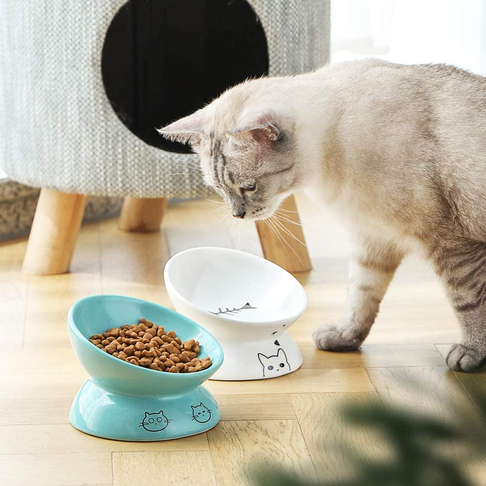 Sweejar Ceramic Raised Cat Bowls, Slanted Cat Dish Food or Water Bowls, Elevated Porcelain Pet Feeder Bowl Protect Cat'S Spine, Stress Free, Backflow Prevention (White)