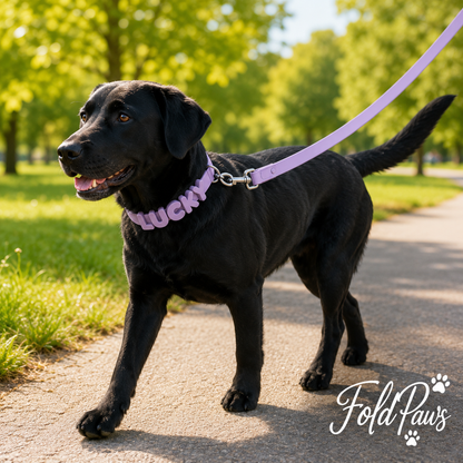 Fold Paws Personalized PVC Dog Collar & Leash Set - Custom Name Letters
