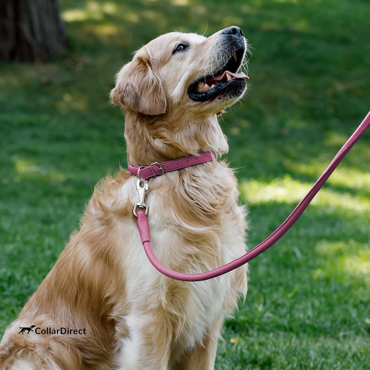 Rolled Leather Dog Collar, Soft Padded round Puppy Collar, Handmade Genuine Leather Collar Dog Small Large Cat Collars 13 Colors (6-7 Inch, Pink Textured)