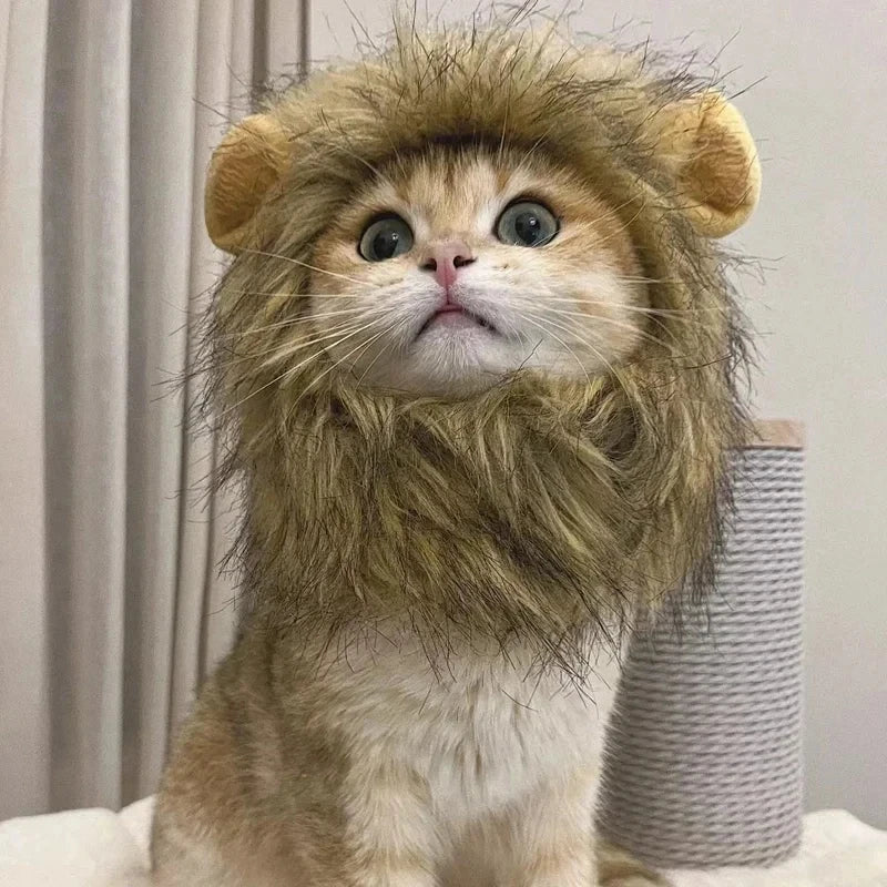 Cat Cosplay Dress up Pet Hat Lion Mane for Cat Puppy Lion Wig Costume Party Decoration Halloween Christmas Gatospet Supplies