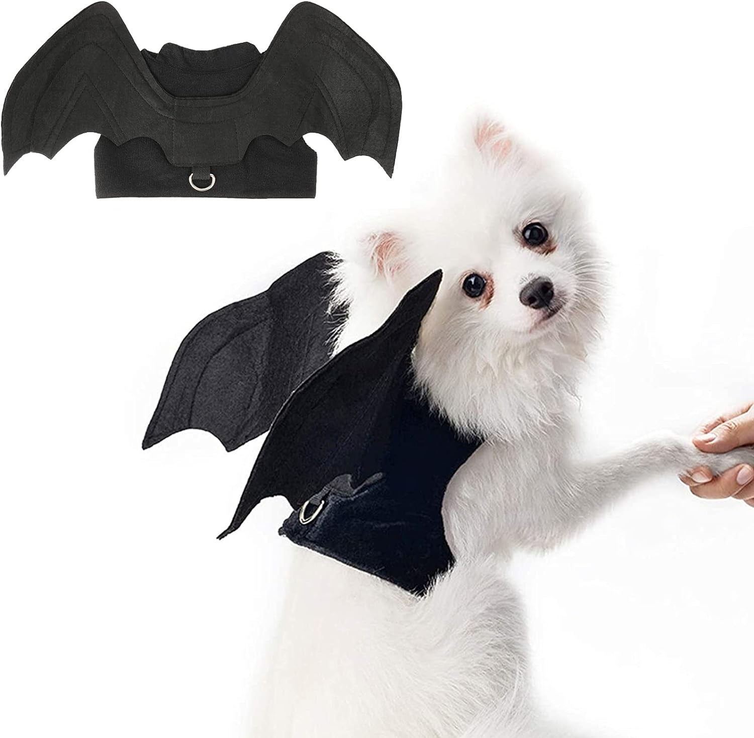 RYPET Cat Halloween Costume - Halloween Bat Wings Pet Costumes for Small Dogs Cats Halloween Party Small