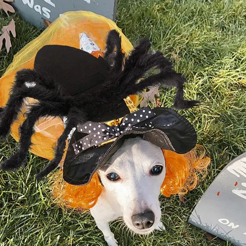 Halloween Pet Spider Costume Simulation Black Spooky Spider Clothes Dressing for Dogs Cats Party Cosplay Props Funny Outfit