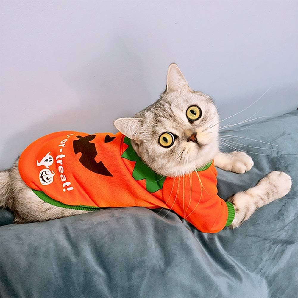 BWOGUE Dog Halloween Shirt Pet Pumpkin Costumes Pet Clothes Funny T-Shirt for Small Dogs and Cats Halloween Cosplay Holiday Festival Party