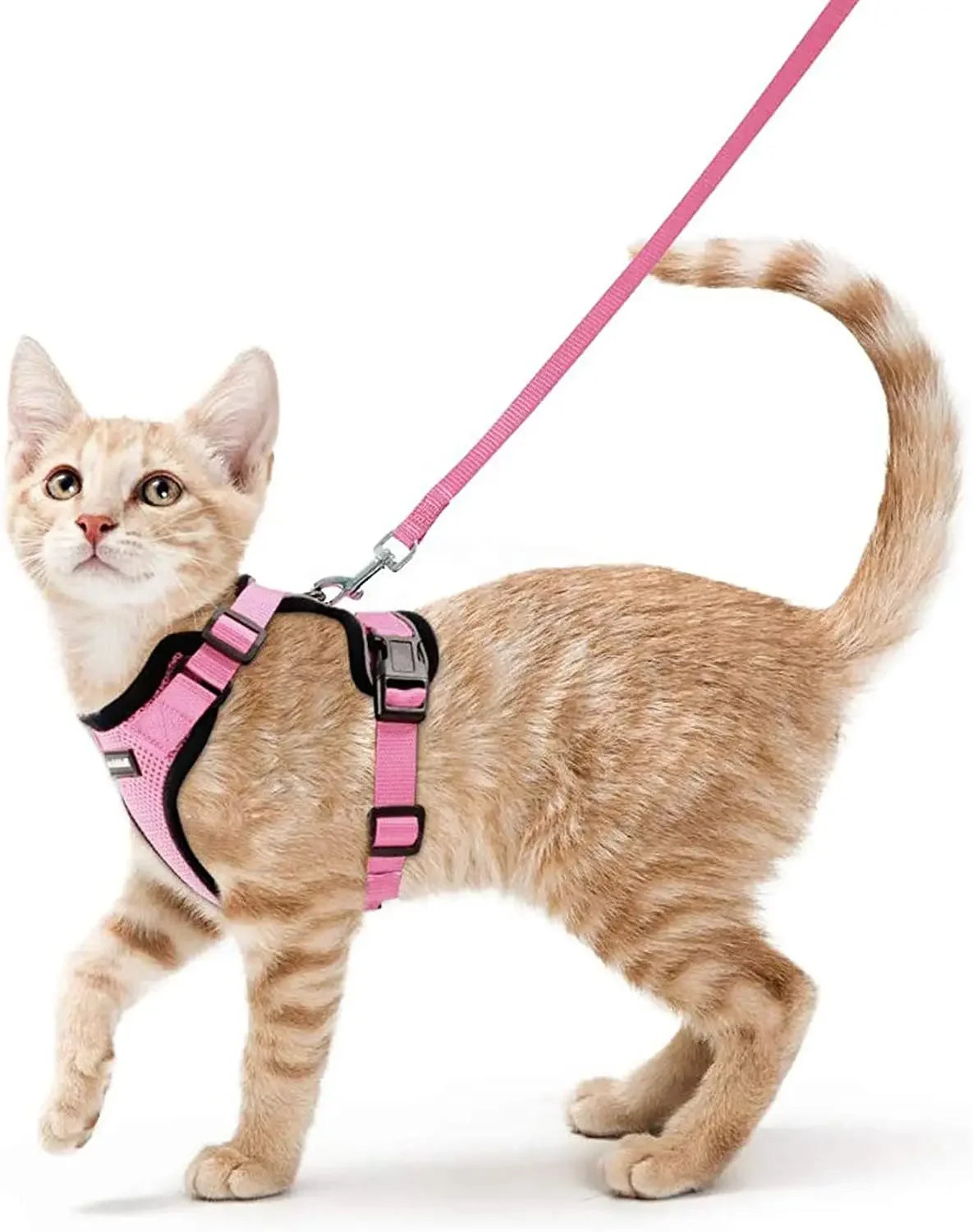 Cat Harness and Leash. Breathable Reflective Strips Jacket