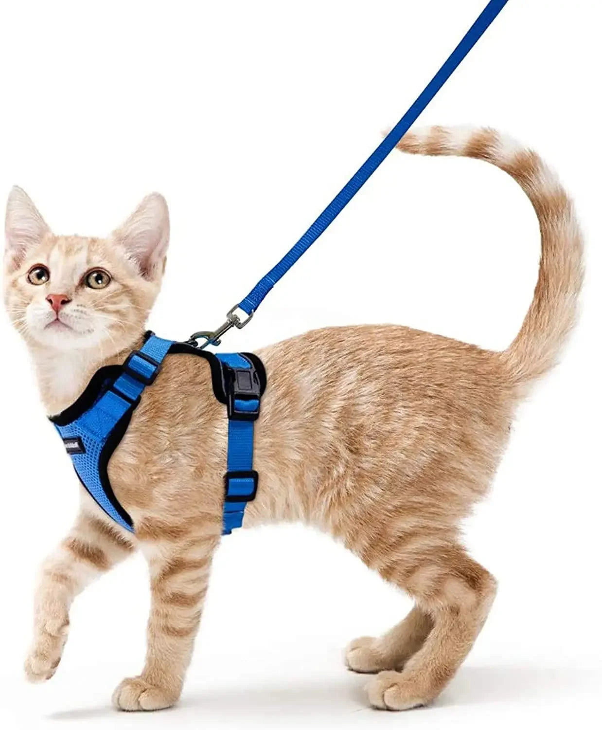 Cat Harness and Leash. Breathable Reflective Strips Jacket