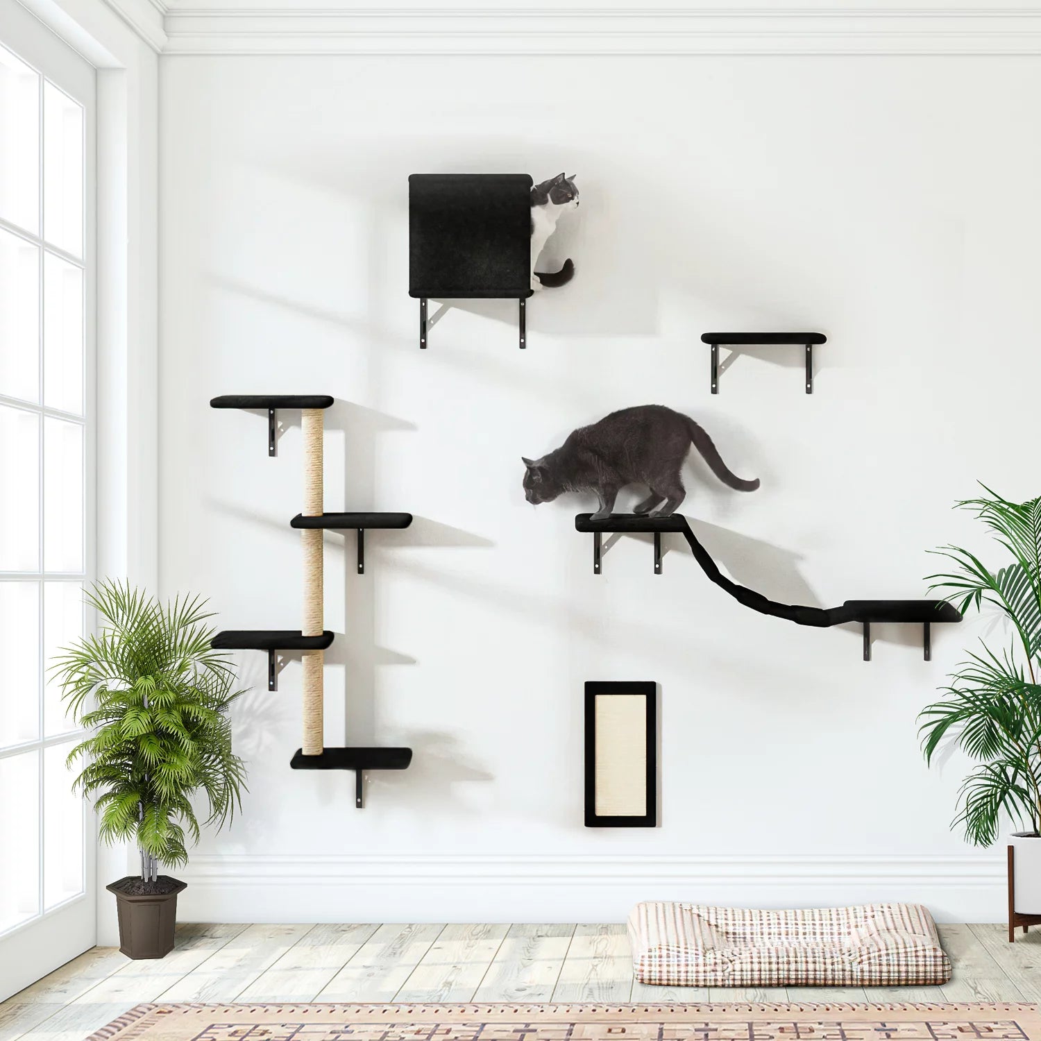 Cat Wall Shelves and Perches Set, Cat Tower for Adult Cats Mounted Cat Tree House