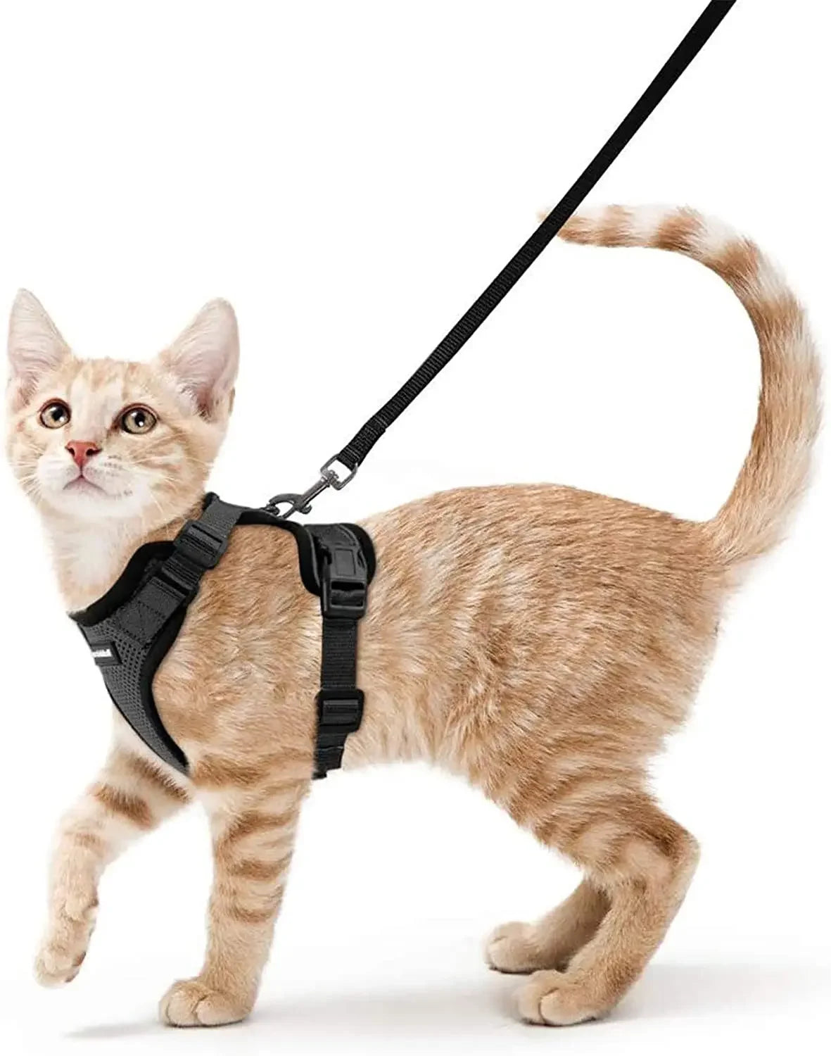 Cat Harness and Leash. Breathable Reflective Strips Jacket