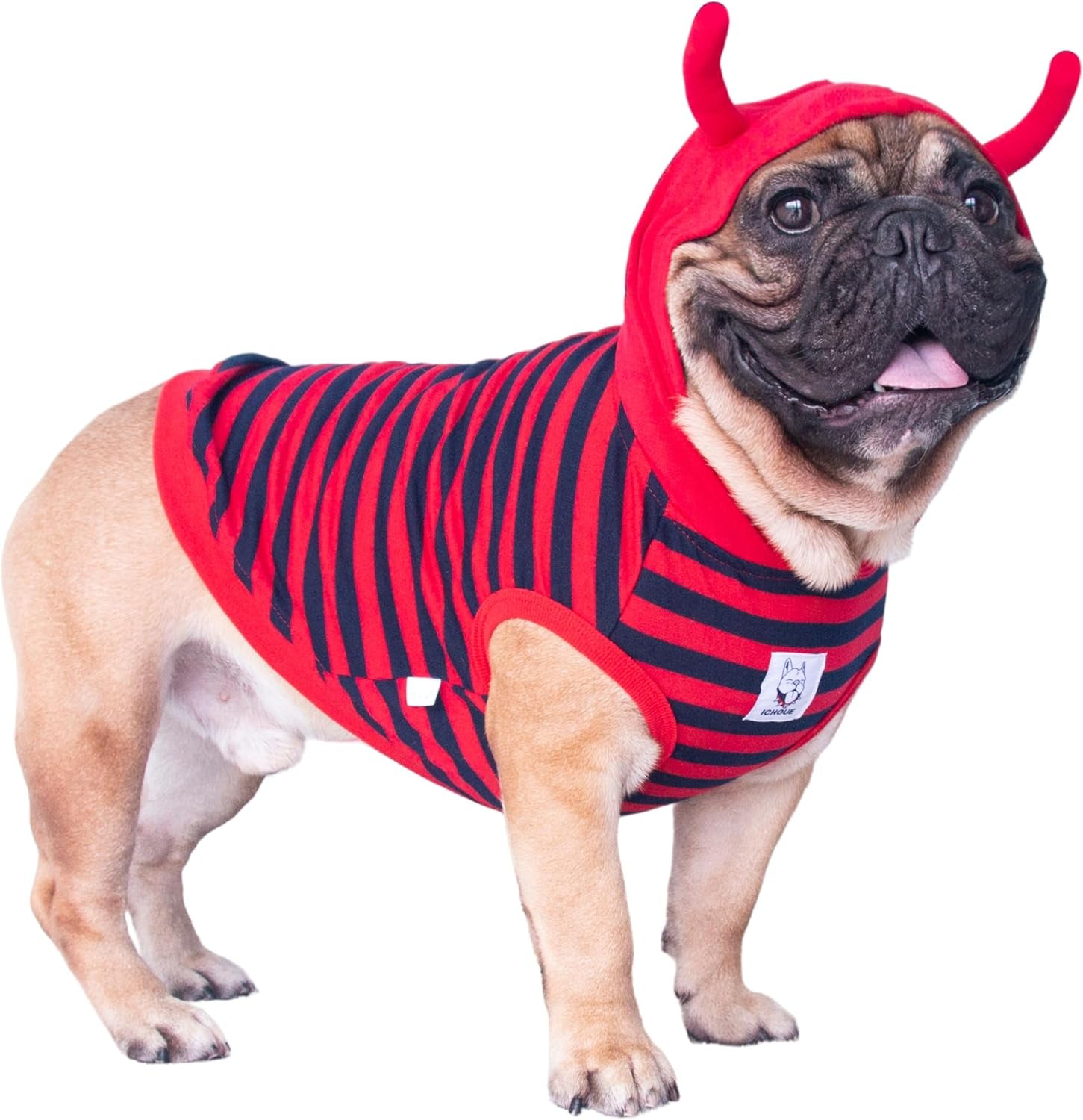 Ichoue I Am a French Bulldog Dinosaur Dog Halloween Costumes Clothes Sweater Cute Funny for Small Dogs Cold Weather Winter Coats Hoodies Frenchie English Pug Pitbull Corgi Puppy - Green/Medium