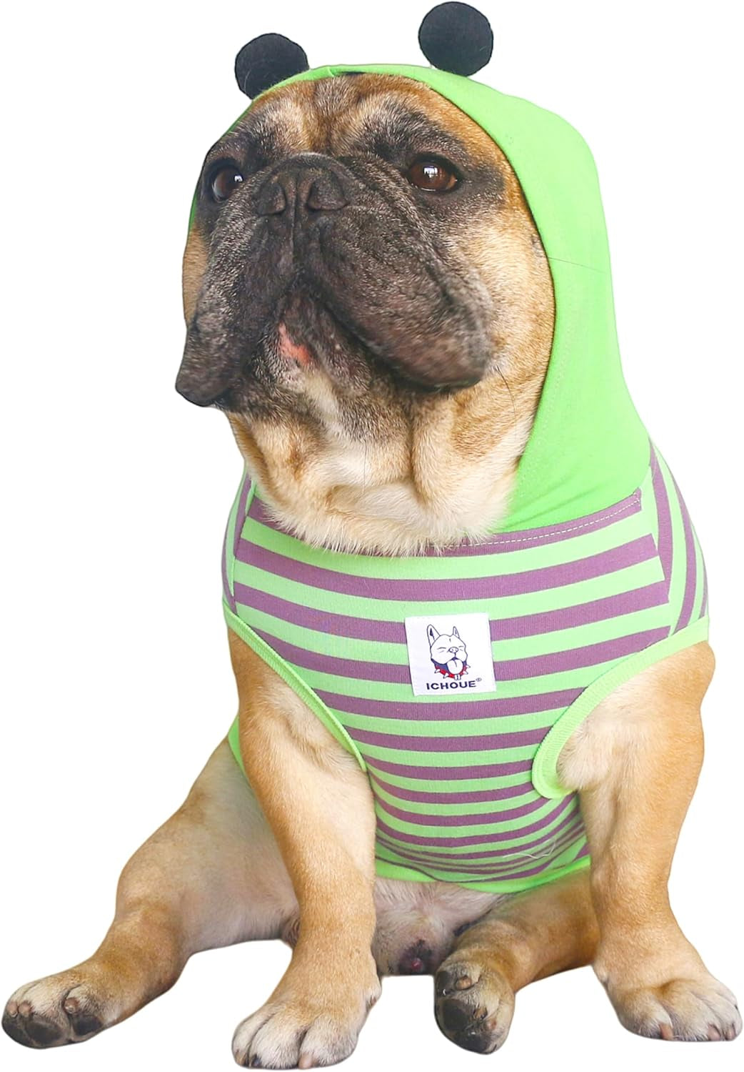 Ichoue I Am a French Bulldog Dinosaur Dog Halloween Costumes Clothes Sweater Cute Funny for Small Dogs Cold Weather Winter Coats Hoodies Frenchie English Pug Pitbull Corgi Puppy - Green/Medium