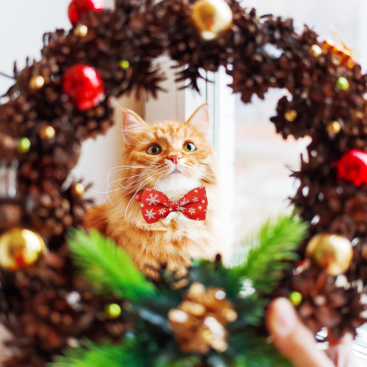 Pohshido Christmas Cat Collar Set, Adjustable Breakaway Bow Tie Collars with Bell, Festive Santa & Snowflake Design