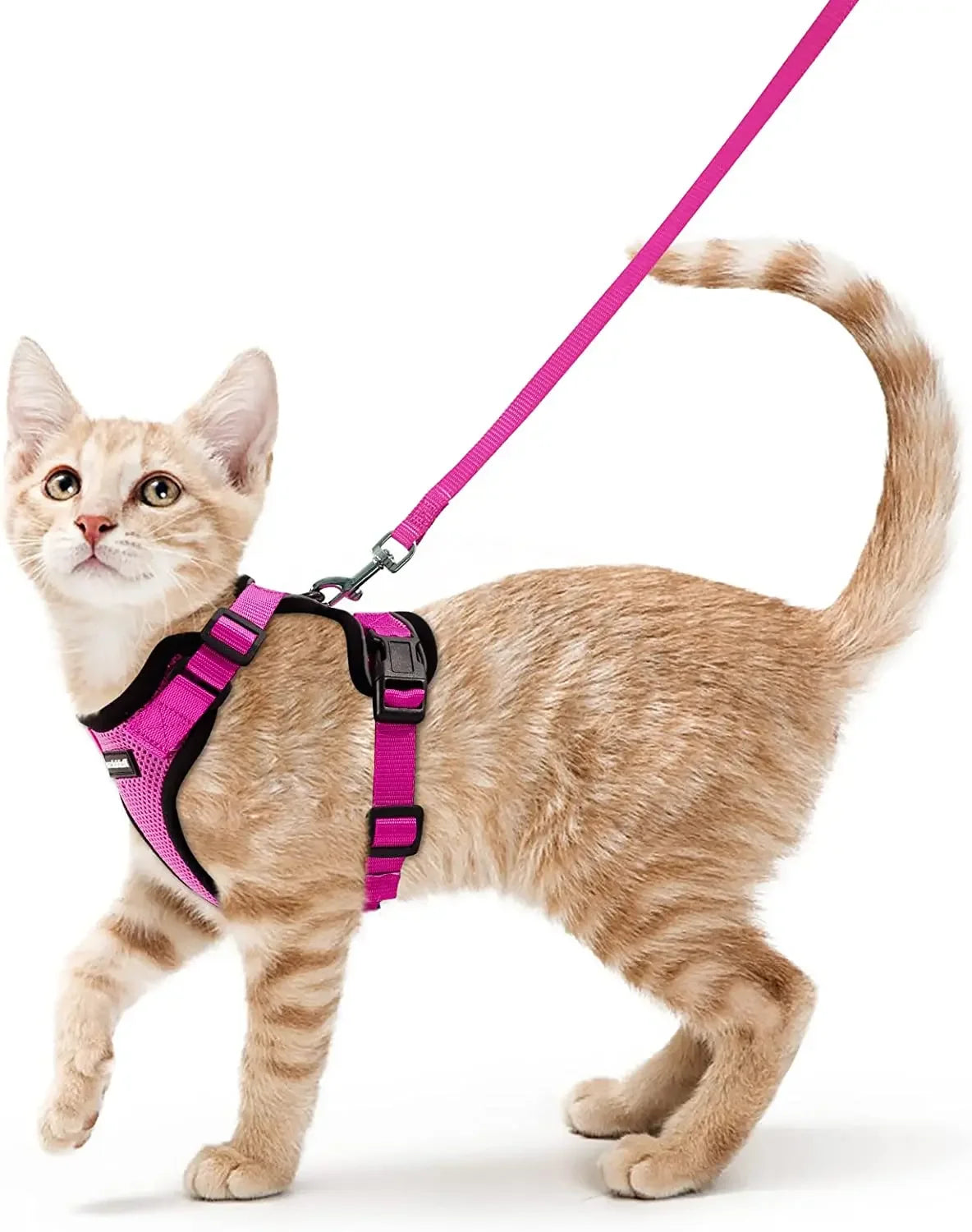 Cat Harness and Leash. Breathable Reflective Strips Jacket