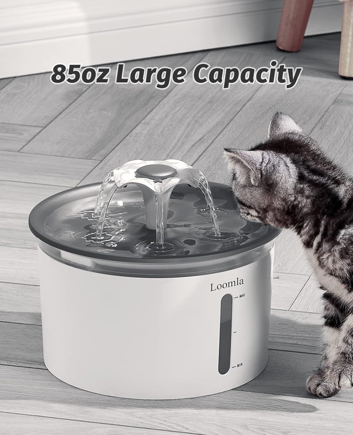 Loomla Cat Water Fountain, 85Oz/2.5L Pet Water Fountain Indoor, Automatic Dog Water Dispenser with Switchable LED Lights, 2 Replacement Filters for Cats, Dogs, Pets (Dark Gray)