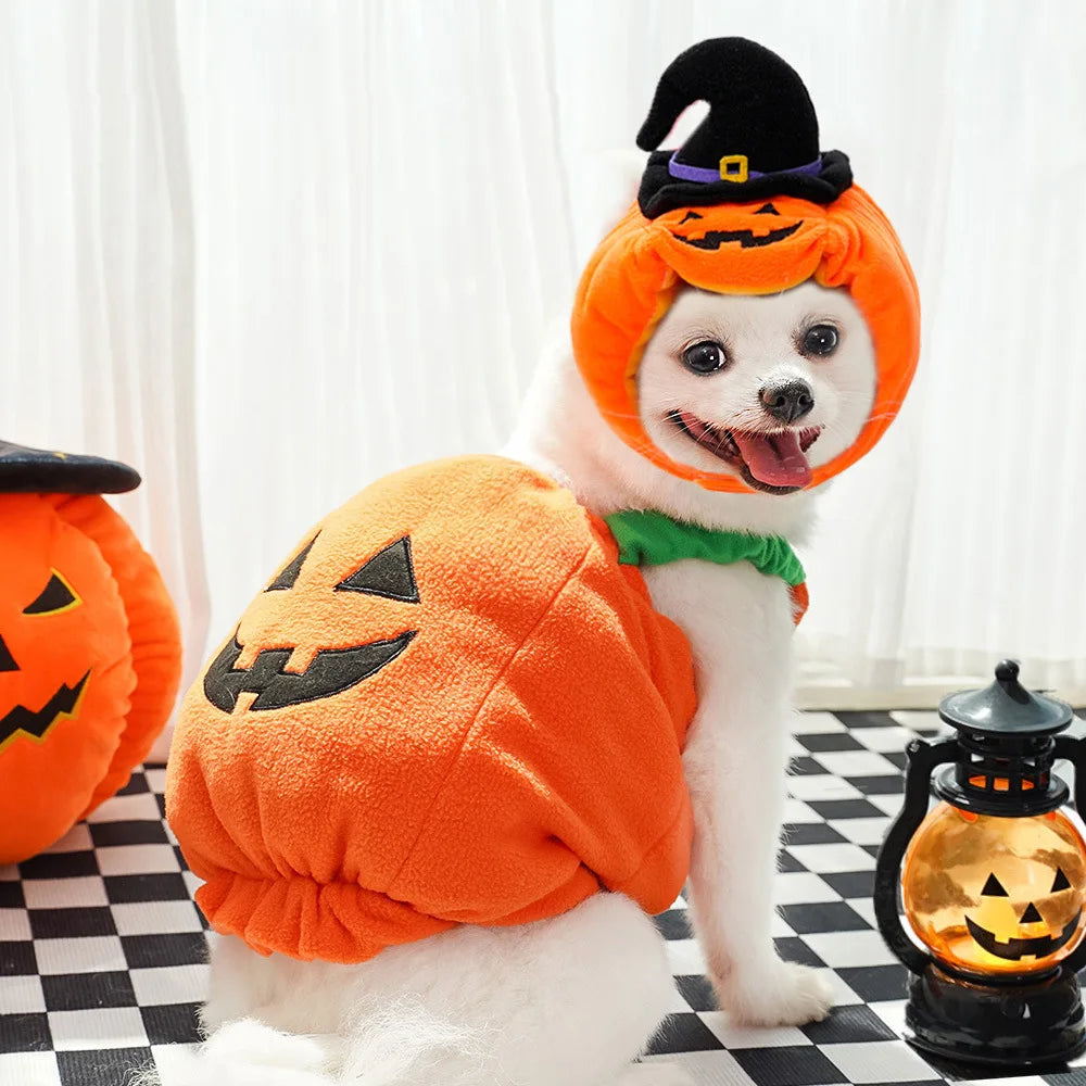 1 Set Halloween Cat Costumes Pumpkin Cute Cat Hat Scarf Clothes for Small Dogs Pet Cosplay Gift