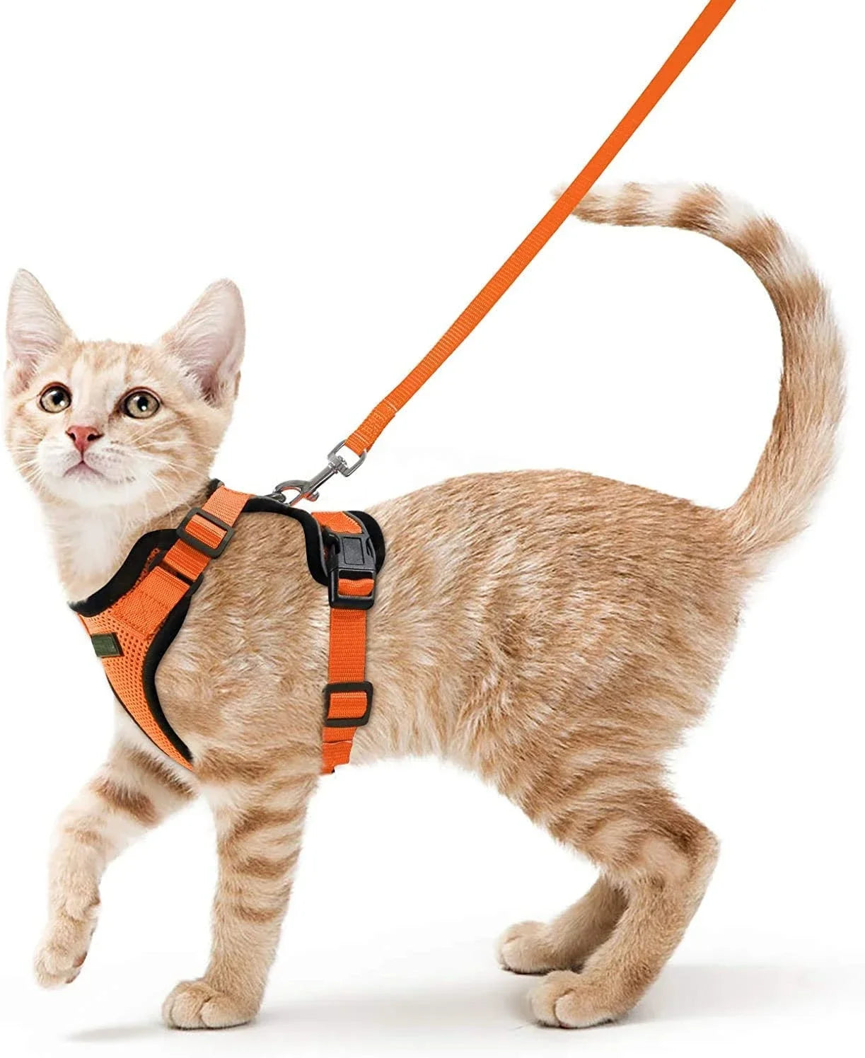 Cat Harness and Leash. Breathable Reflective Strips Jacket