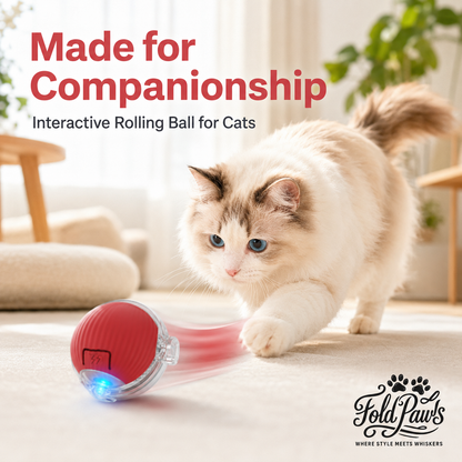 Fold Paws Rechargeable Interactive Cat Rolling Ball Toy - Type-C Smart Motion Ball
