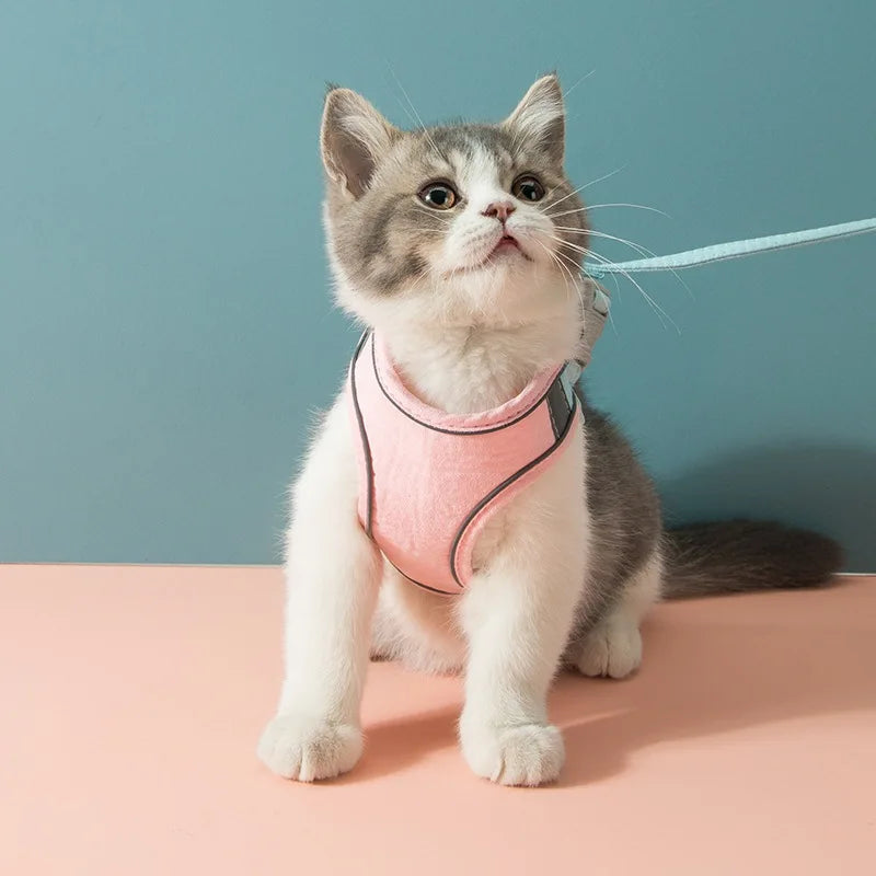 VIP Cat Harness Leash Set