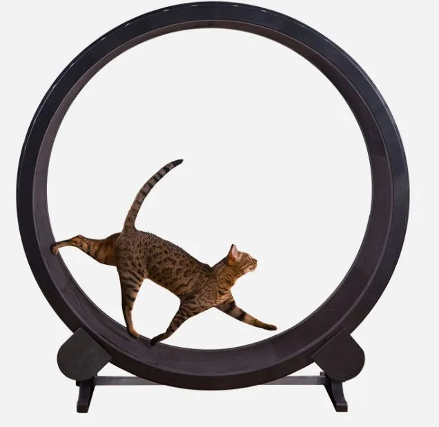 Unique Design Low Noise Firm Base Cat Running Wheel Cat Treadmill Toys