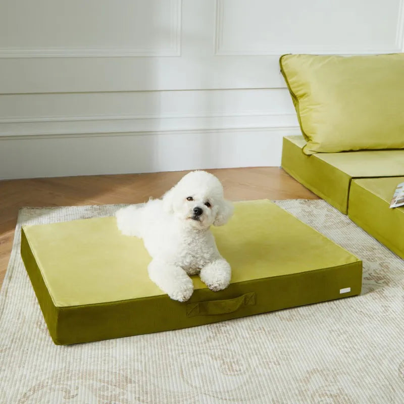 Hot Sale Custom Pattern Dutch Velvet Pet Litter Mat Removable Washable Outdoor Pet Supplies Dog Bed Cat Bed