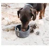 Eco-Friendly Collapsible Dog Bowl – Foldable Waterproof Travel Pet Water Dish for Dogs - Fold Paws