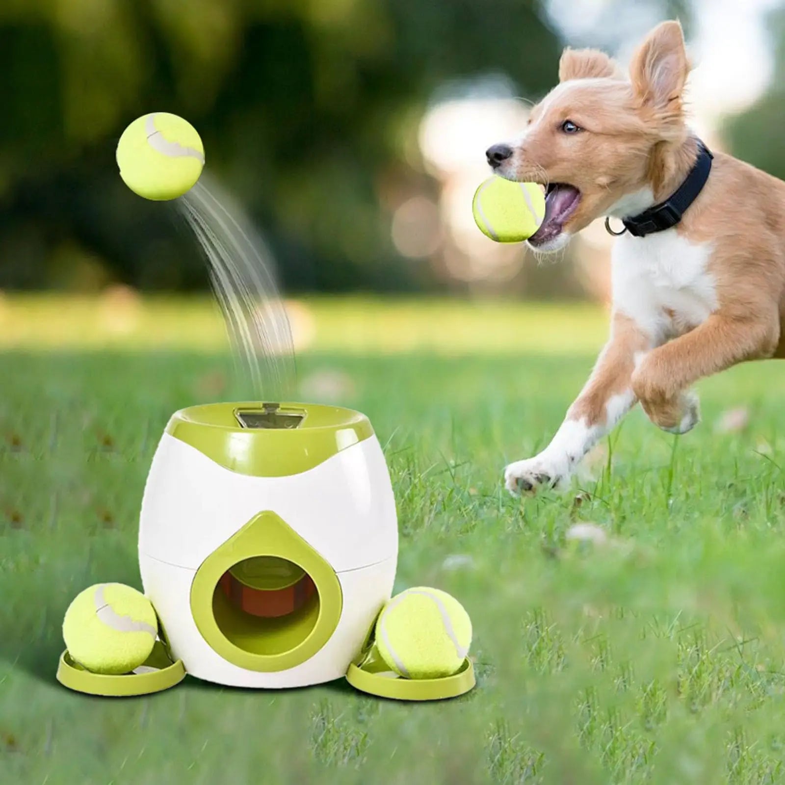 Automatic Dog Ball Launcher – Interactive Tennis Thrower for Small & Medium Dogs with Adjustable Distance - Fold Paws
