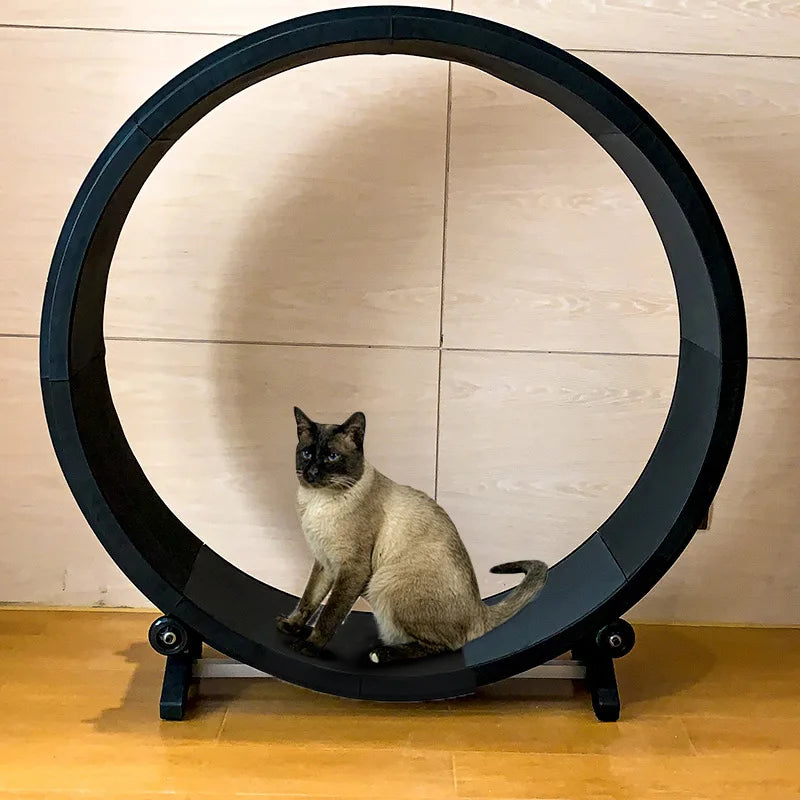 Unique Design Low Noise Firm Base Cat Running Wheel Cat Treadmill Toys