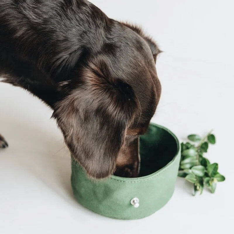 Eco-Friendly Collapsible Dog Bowl – Foldable Waterproof Travel Pet Water Dish for Dogs - Fold Paws