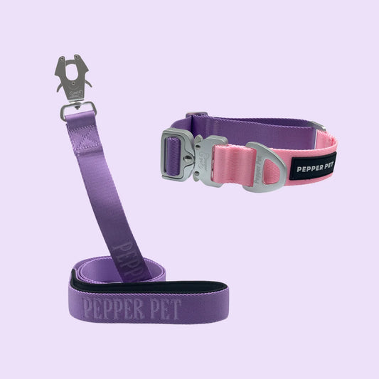 Pepper Pet Tactical Dog Collar & Leash Set – Two-Tone Luxury with Aerospace-Grade Aluminum Swivel Frog Buckle - Fold Paws