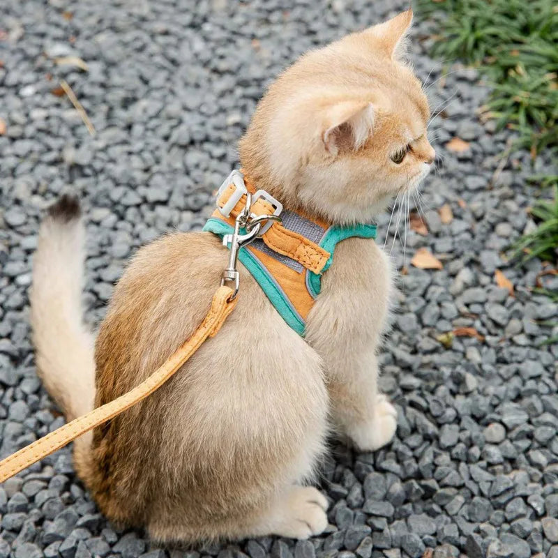 VIP Cat Harness Leash Set