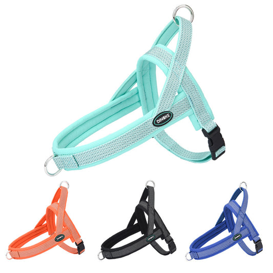 Dog Leash