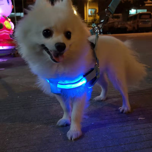 LED Luminous Dog Chest Strap