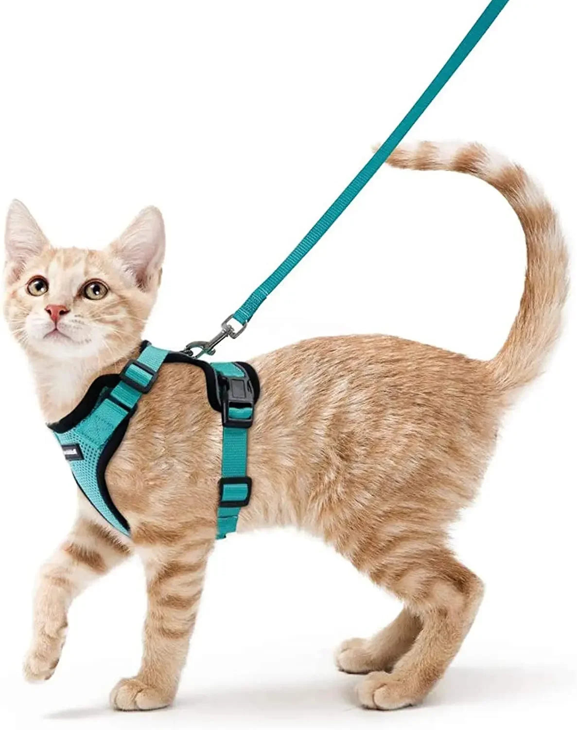 Cat Harness and Leash. Breathable Reflective Strips Jacket